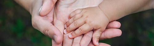 Trimnal & Myers, adoption image